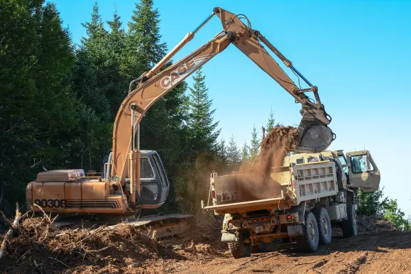 Cazino Estrella Cazinou Suport